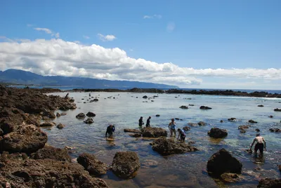 2007_05_30_HAWAII (106) (Large).JPG
